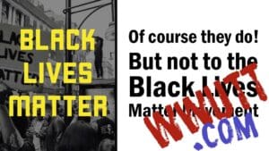 black lives matter divides